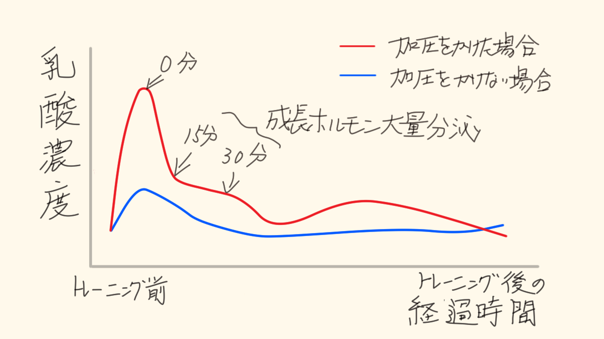 自力で治す薄毛対策を徹底比較 加圧トレーニング 成長ホルモン 乳酸濃度